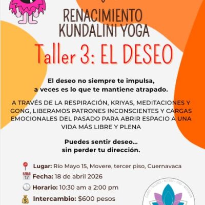 WhatsApp Image 2026-03-26 at 21.26.03